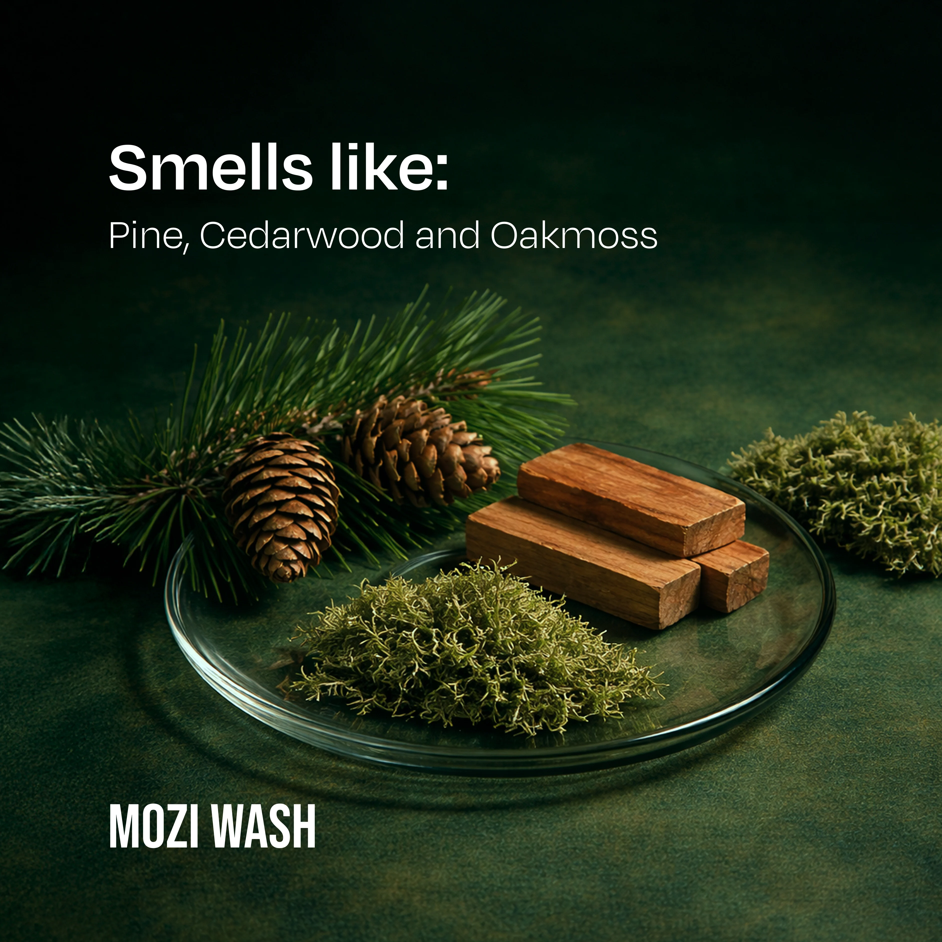 Alpine Woods Mist & Detergent - Image 2