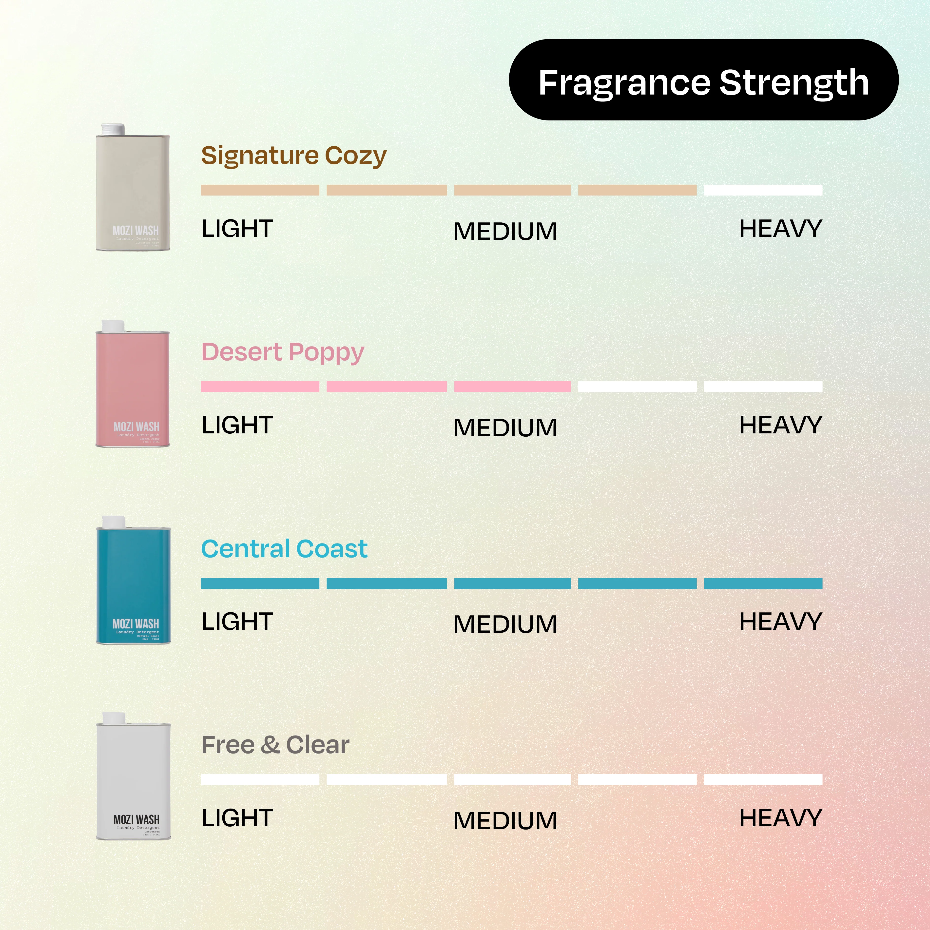 Founder's Favorite 4 Pack - Image 4