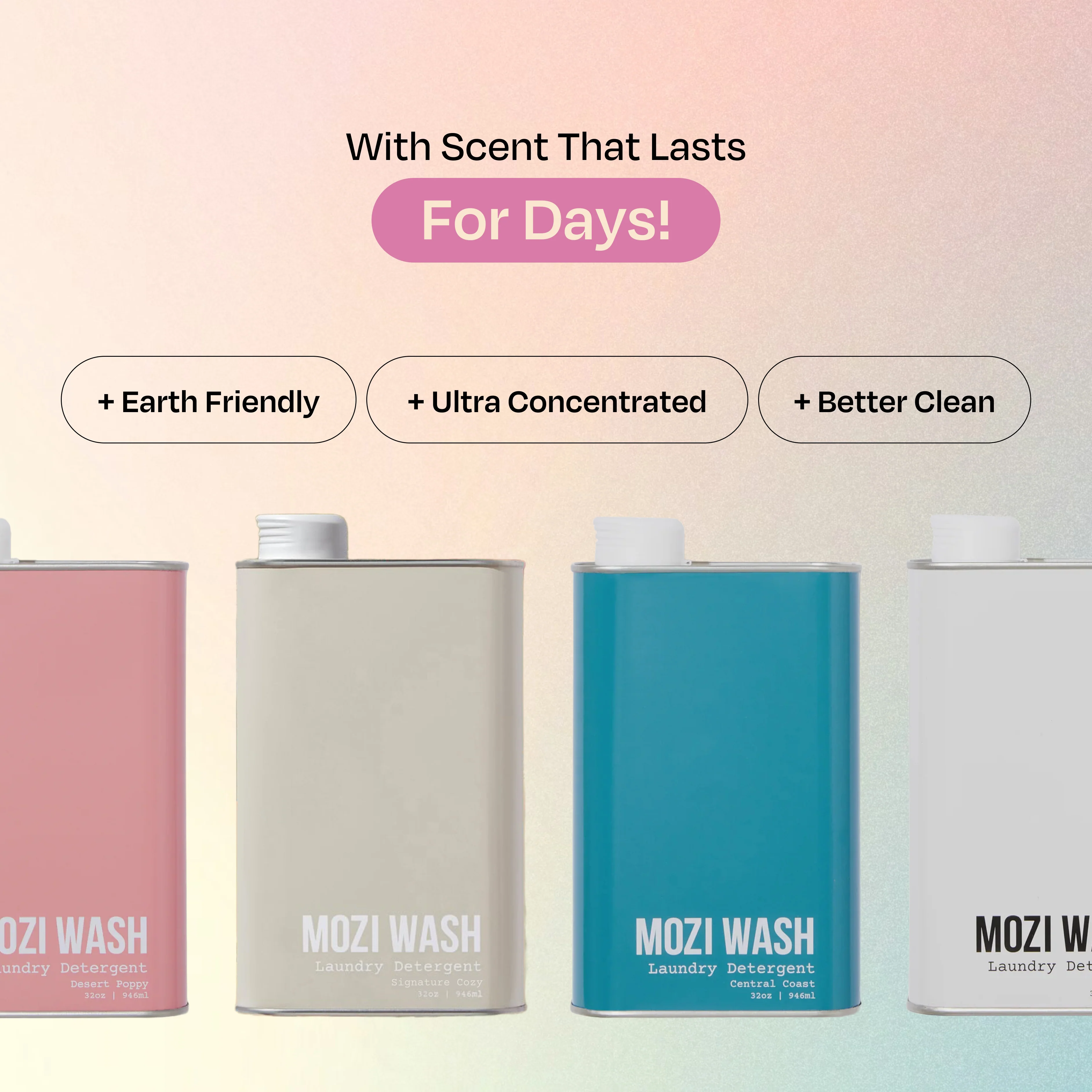 Founder's Favorite 4 Pack - Image 6